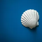 5 Sirene 나폴리