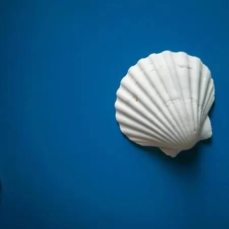 5 Sirene נאפולי