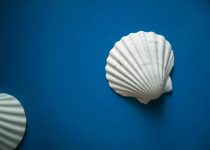 5 Sirene Νάπολη